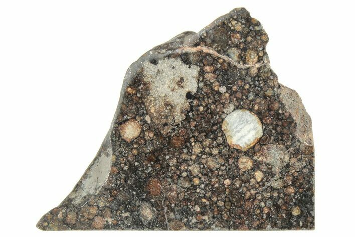 LL Chondrite Meteorite ( g) Slice - NWA #291397